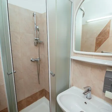 Pansion Cirjak Guest house *